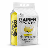100% Mass Gainer 5kg