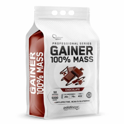 100% Mass Gainer 5kg